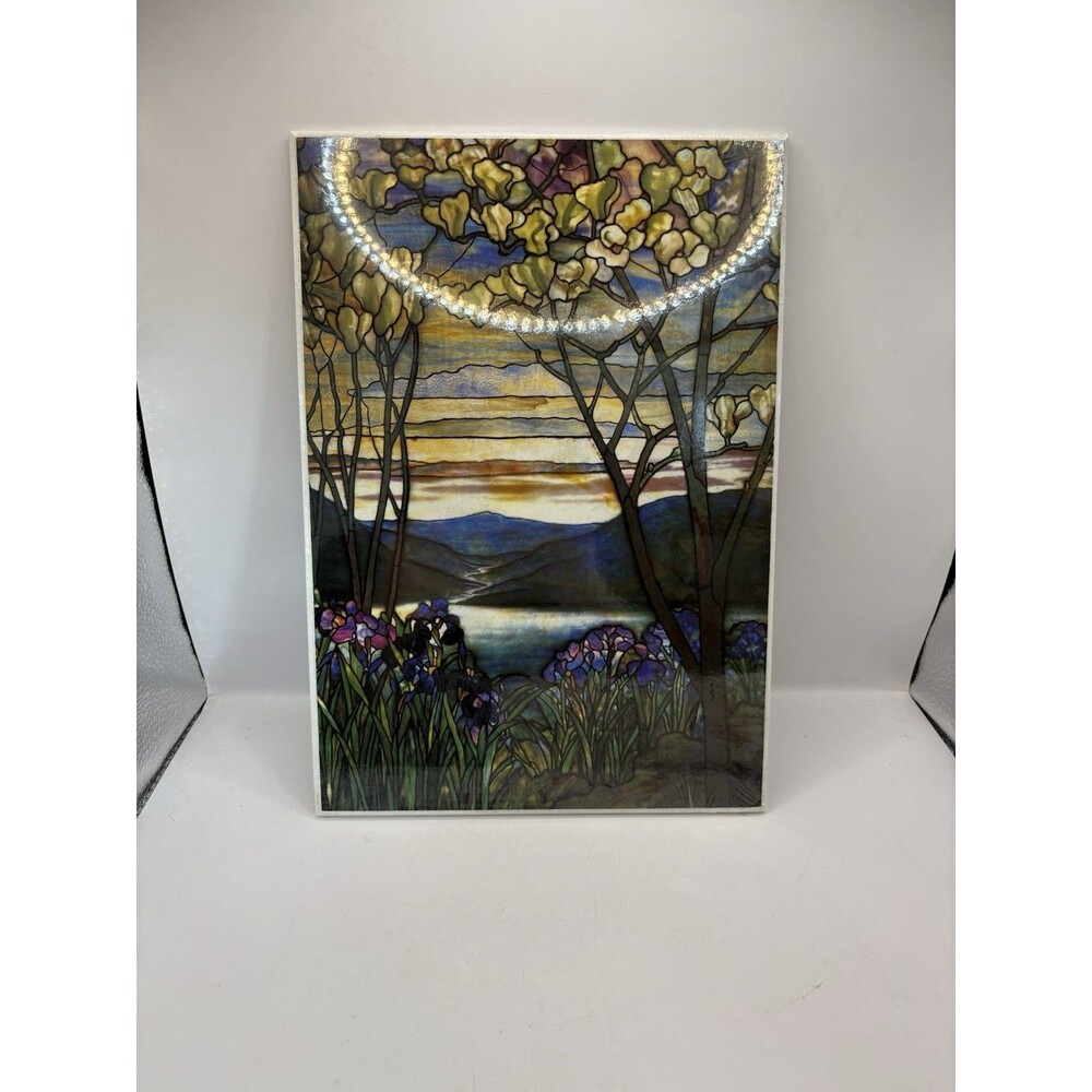 The Metropolitan Museum Of Art Tiffany Magnolias and Irises Fine Art Print New